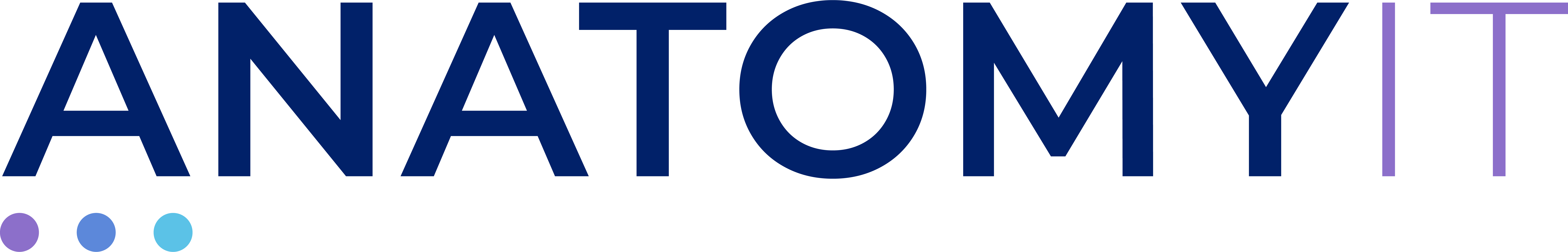 AnatomyIT-Logo